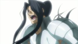 THE LOST CANVAS - TSUBAKI DI VEL - SACRO GUERRIERO D'ARGENTO