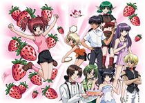 TOKYO MEW MEW