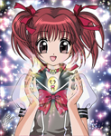 TOKYO MEW MEW